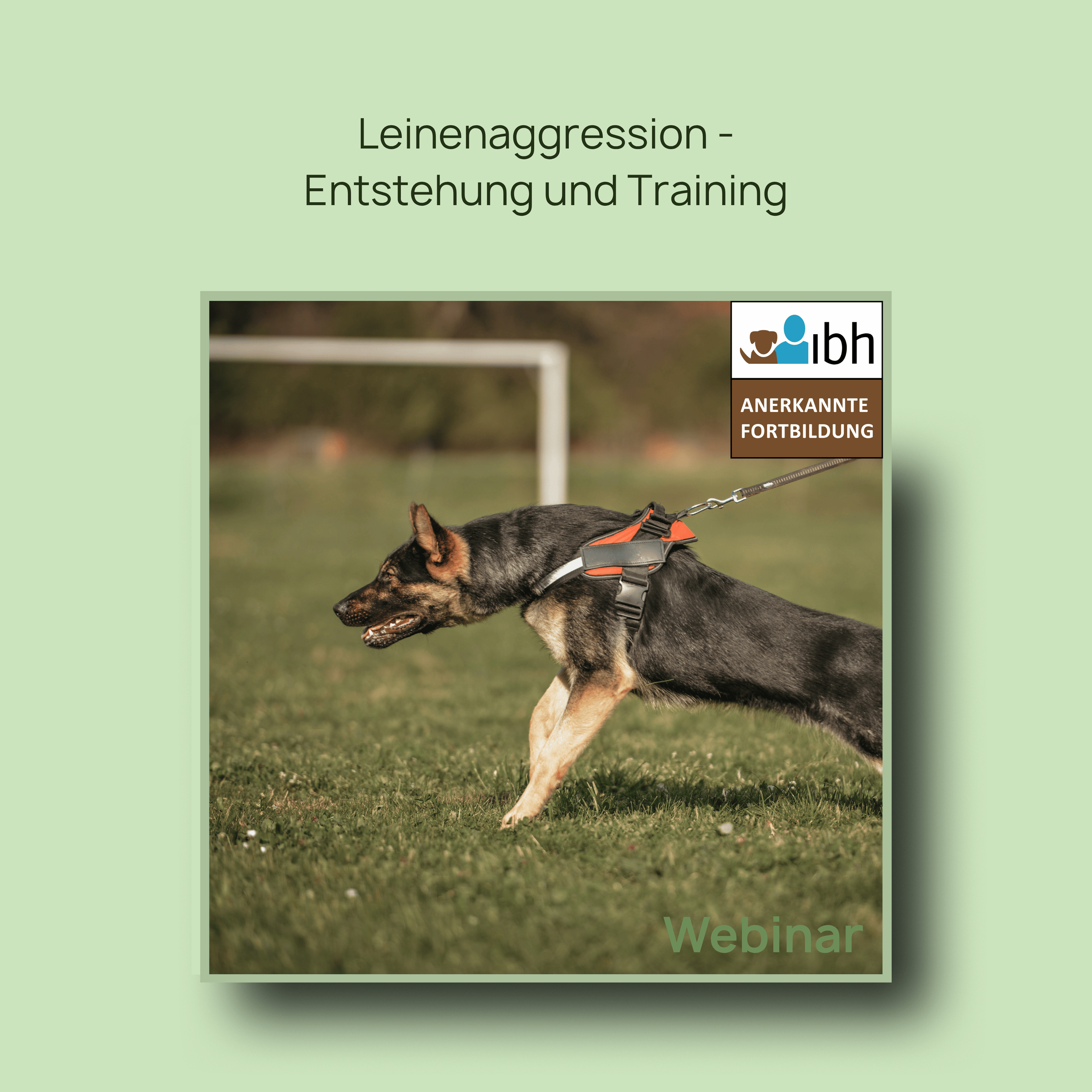 Webinaraufzeichnung: Leinenaggression