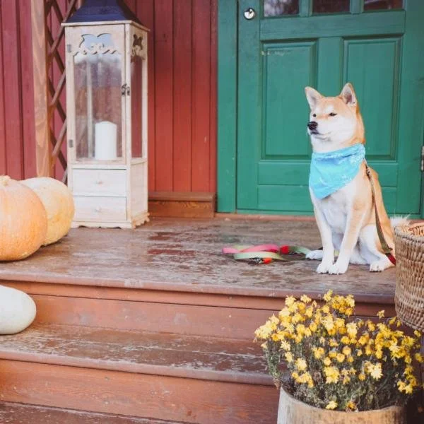 Online-Training: Impulskontrolle im Alltag