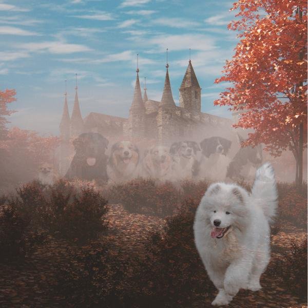 Schneefellchen und die sieben Spürlinge