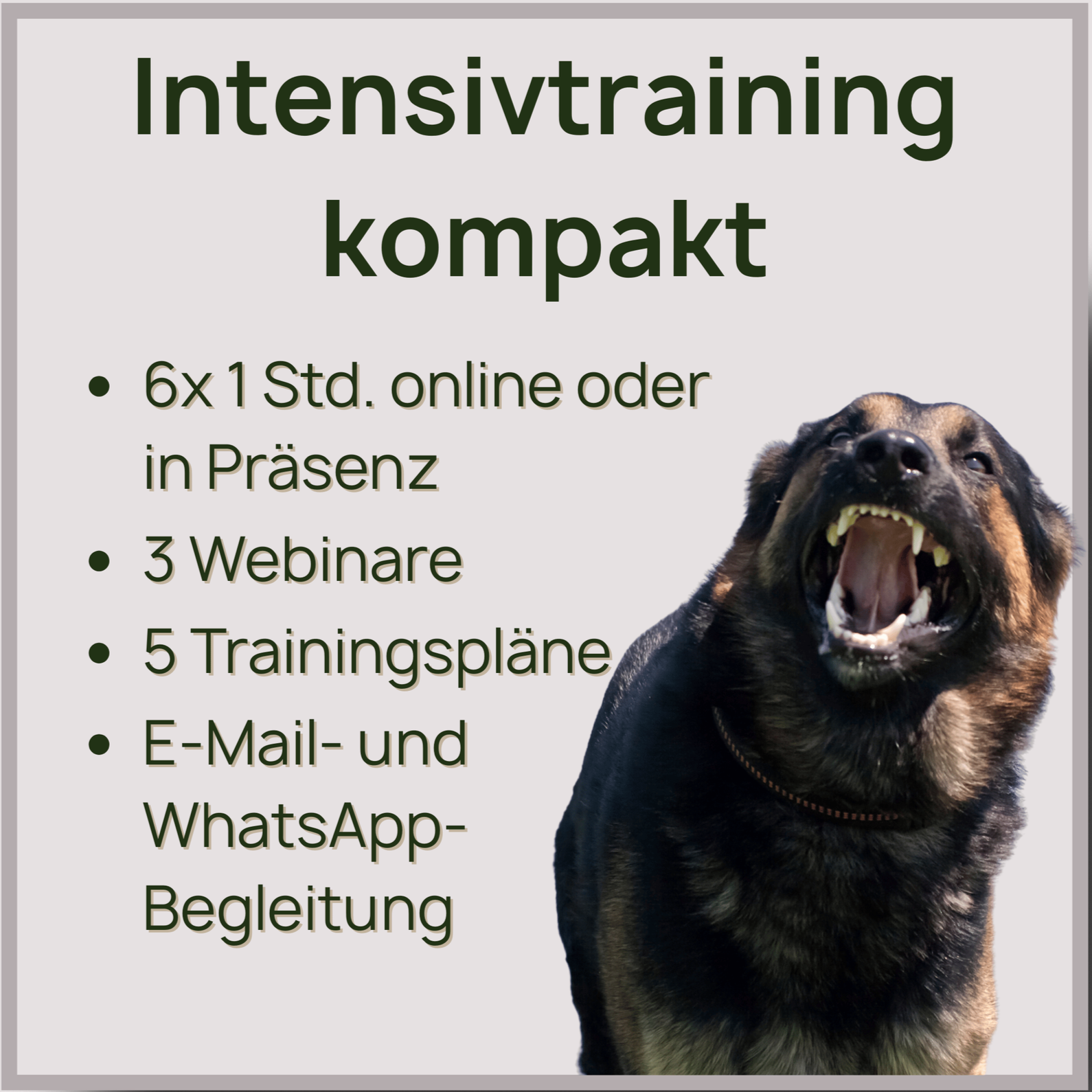 Intensivtraining kompakt