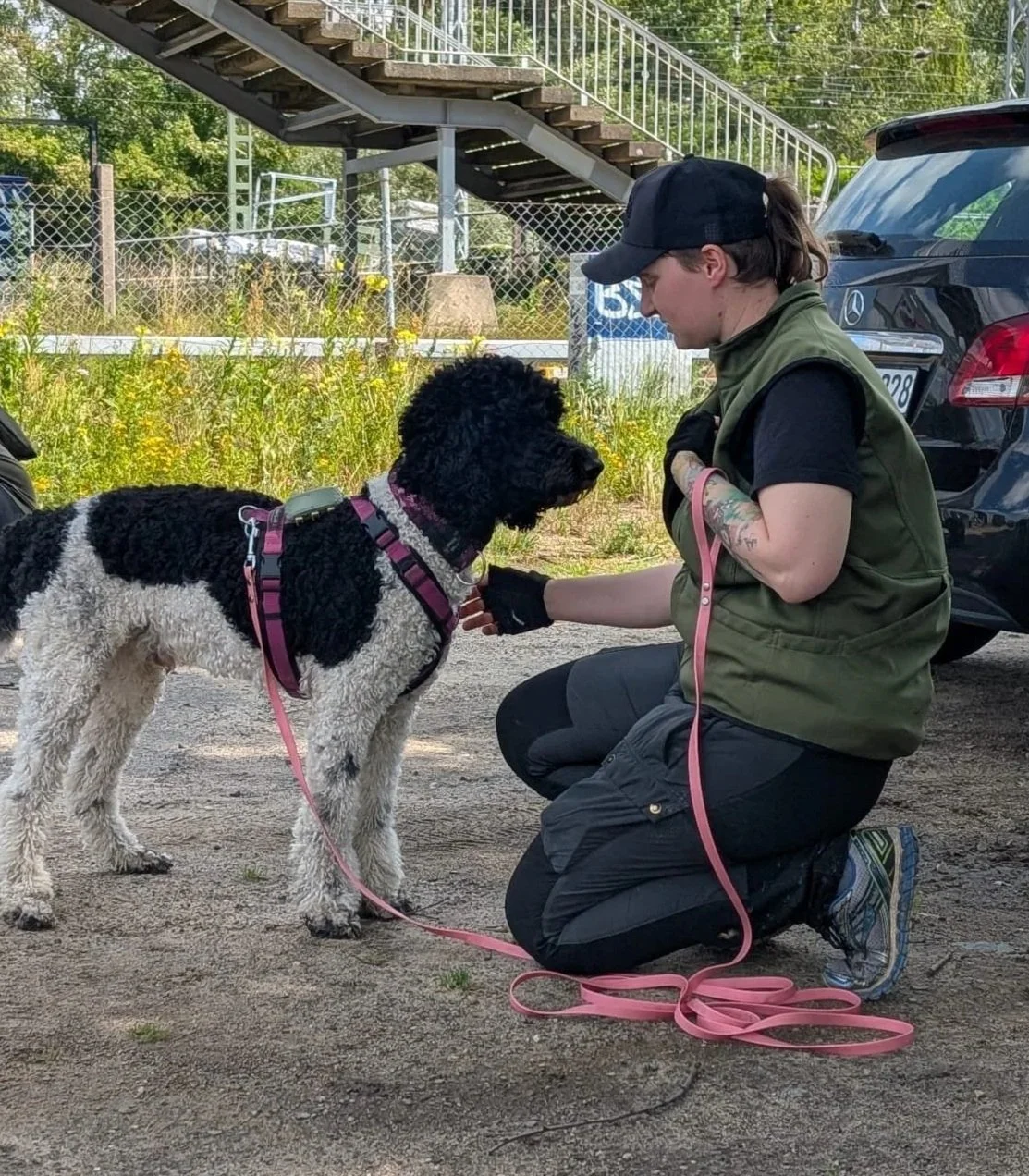 Eine Person kniet vor einem großen schwarzen und weißen Hund, beide schauen sich an, während die Person den Hund ansieht. Es sieht aus, als ob die Person mit dem Hund trainiert oder kommuniziert.