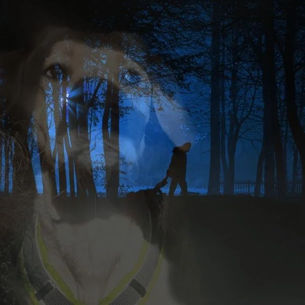 Werwolf von Hannover