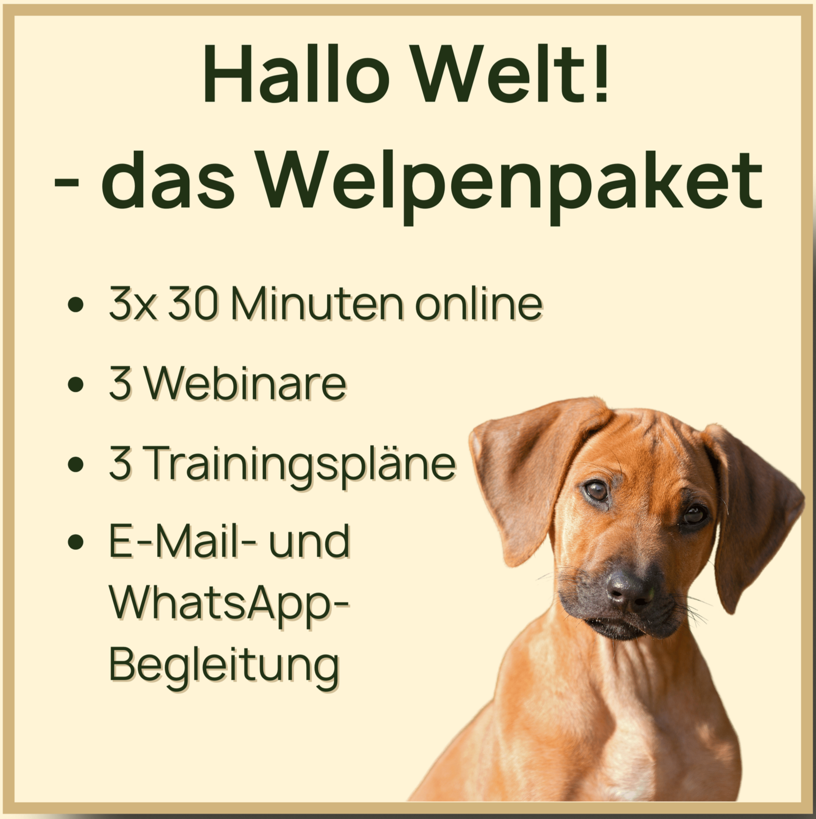 Hallo Welt!