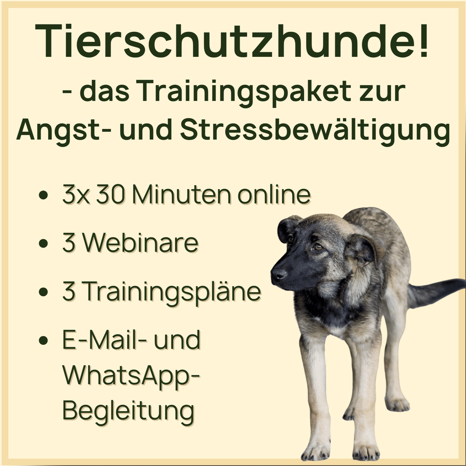 Tierschutzhunde!