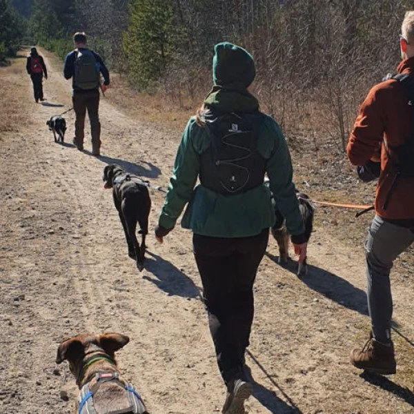 CaniWalk - Walken mit Hund