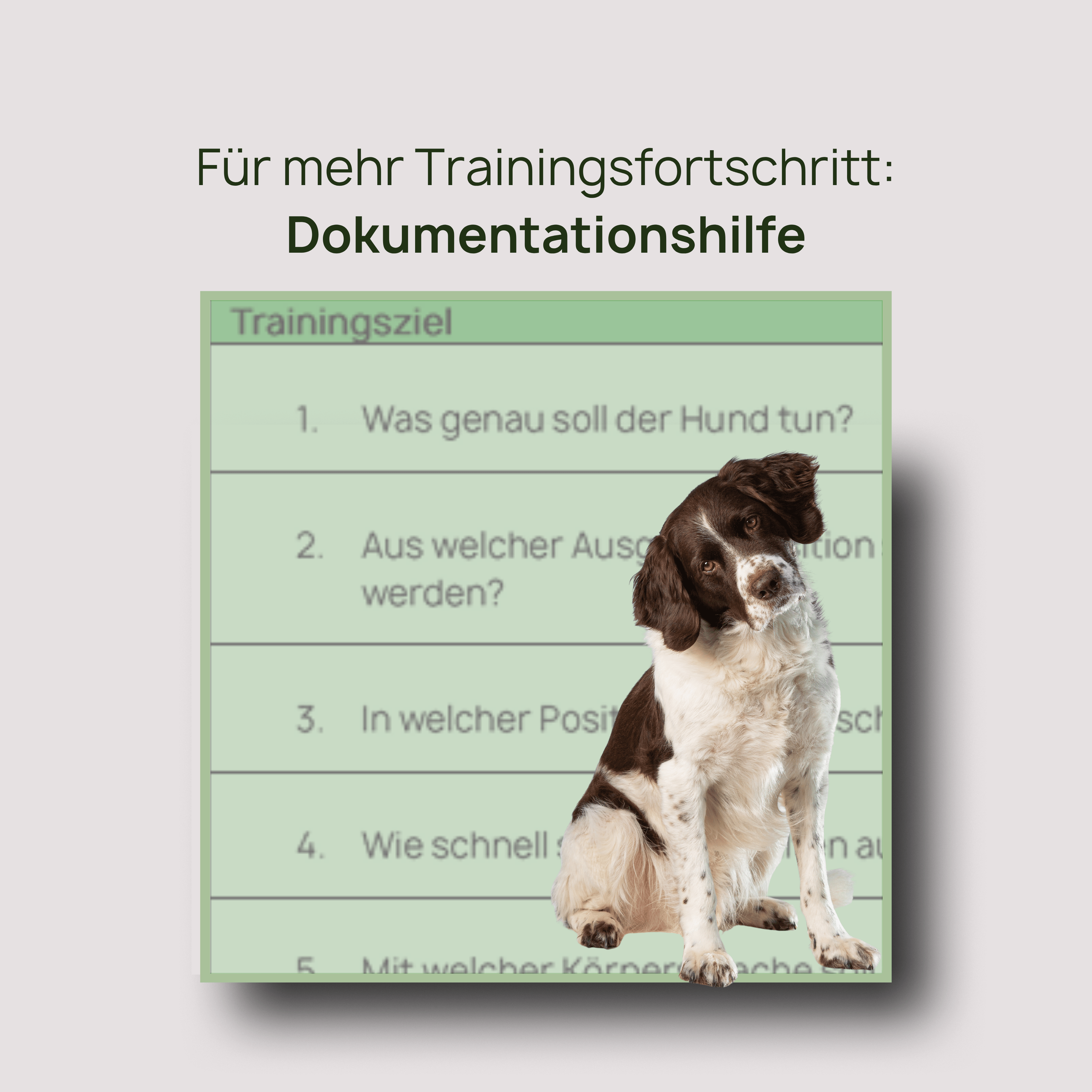 Dokumentationshilfe.png