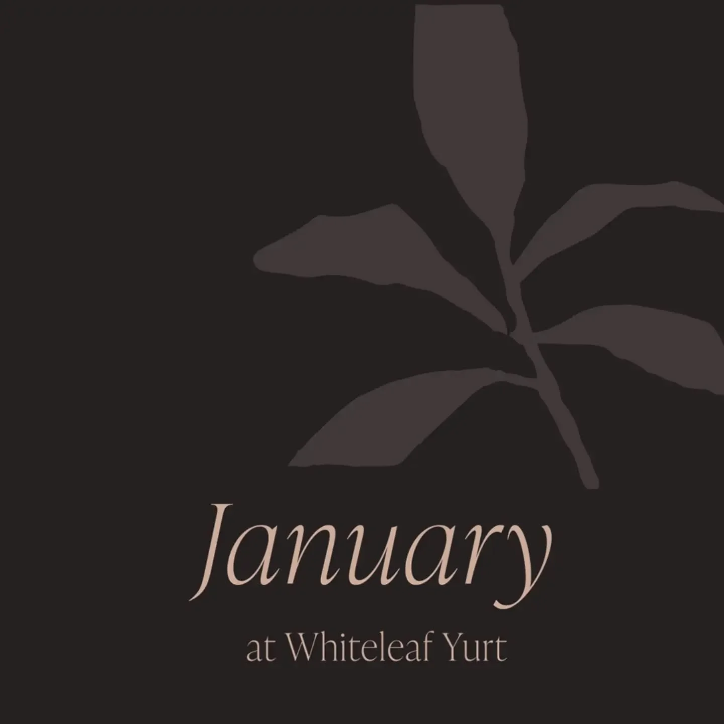 What&rsquo;s on at Whiteleaf Yurt this month

I&rsquo;m excited to share a few events happening at the Yurt this month, all hosted by independant practioners:

Yin Yoga Workshop&nbsp;&mdash; 26.01.26, with @jacquelinefarrantyoga
For bookings, please 
