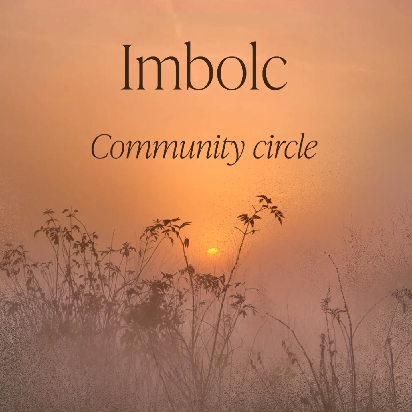 Imbolc Community Circle 

As the days start to lengthen and we sense the emergence of new life, seeds splitting open in the fertile dark, snowdrops beginning to bud, the pulse of nature is felt more deeply, and with it, the stirring of our own life f
