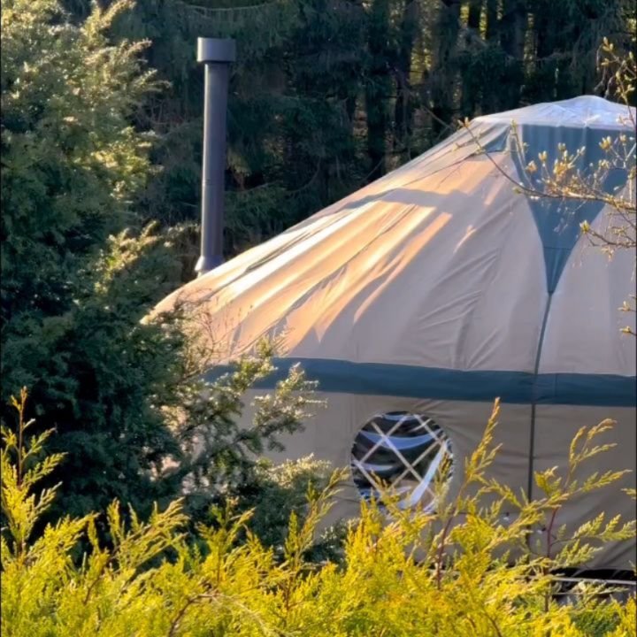 Spring at Whiteleaf Yurt&nbsp;🌸

The birds are singing, the light is softening, and nature is pulsing with life.

Whiteleaf Yurt is shaped by the changing seasons, offering a sacred space to come home to yourself and reconnect with the natural rhyth