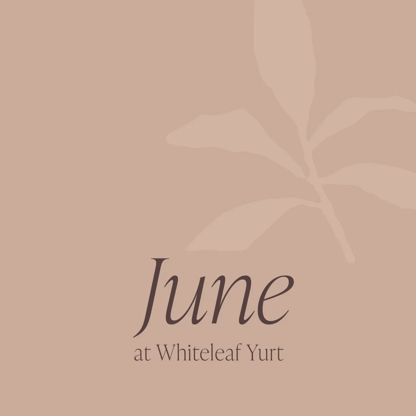 What's on at Whiteleaf Yurt in June 🌻

&bull; Hatha Yoga &mdash; with @soul.to.soul.yoga Fridays, 10am&ndash;11am
 Bookings: https://www.soultosoulyoga.co.uk

&bull; Crystal Earth &mdash; 17.6.26, 7pm&ndash;8.30pm, with Maria Timpanaro from @breathb