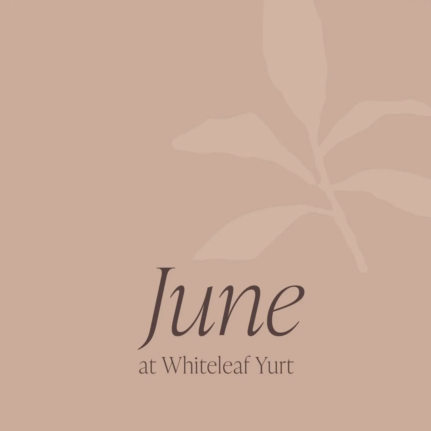 whiteleafyurt What's on at Whiteleaf Yurt in June 🌻

DATE CORRECTION: Please note that Crystal Earth is happening on 26.6.26 

&bull; Hatha Yoga &mdash; with @soul.to.soul.yoga Fridays, 10am&ndash;11am
Bookings: https://www.soultosoulyoga.co.uk

&bu