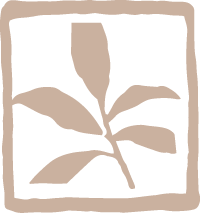 Simplified sketch of a plant with a stem, leaves, and a flower or bud inside a square frame