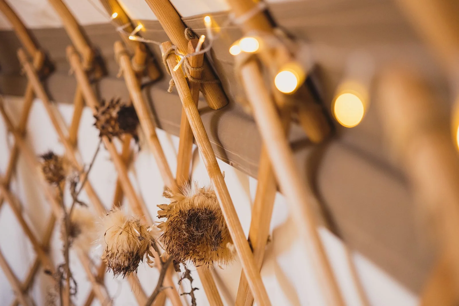 Wooden lattice adorned with warm white string lights and dried decorative botanicals.