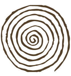 A black spiral on a dark background.