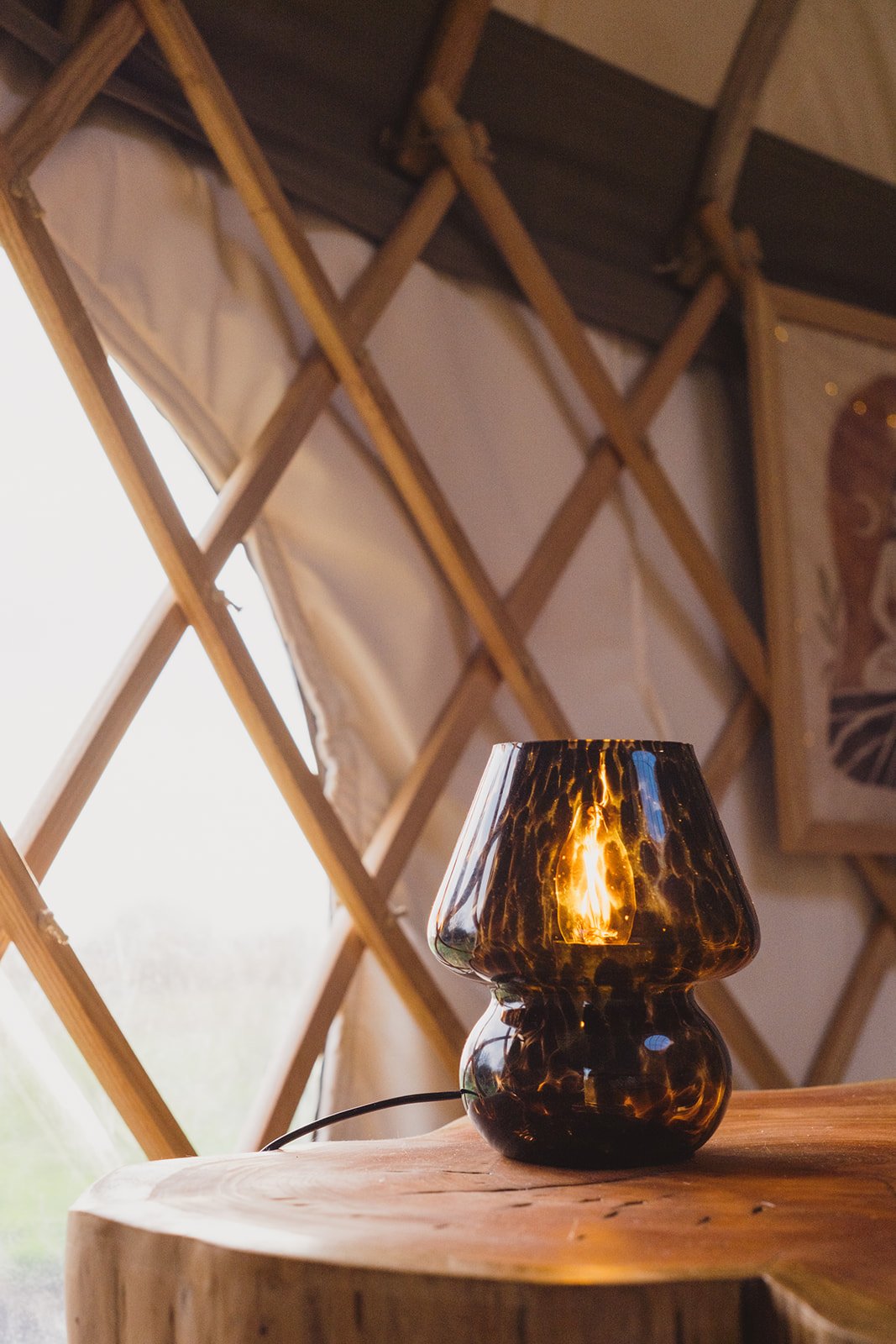 A decorative table lamp with a tortoiseshell pattern, glowing softly on a wooden surface in a yurt with a geometric lattice wall and large window.