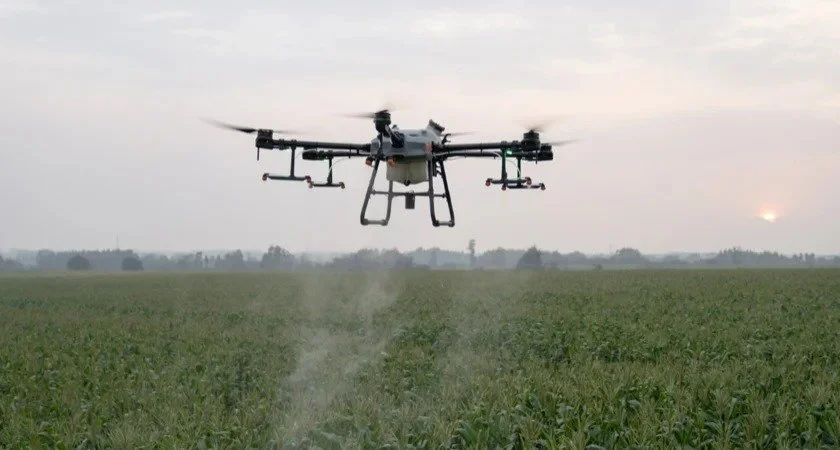 A drone flying over a green field during sunset, possibly spraying crops.