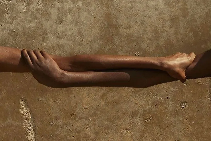 Une main humaine tenant une branche d'arbre contre un mur en béton, créant une illusion d'un bras allongé.