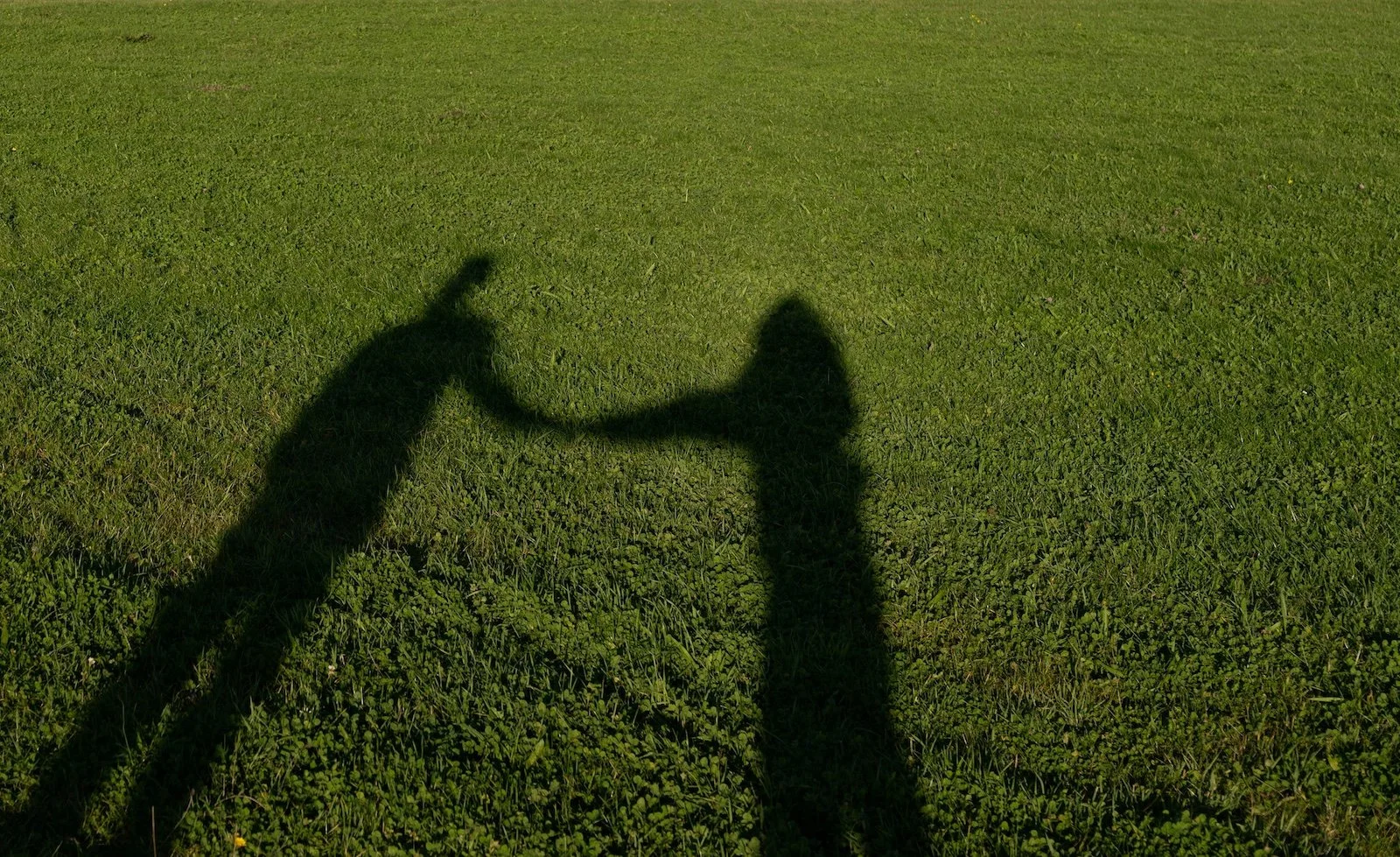 Hechtingsproblematiek. Steeds terugkomende ruzies of problemen. Individuele problemen die de partnerrelatie of gezinsrelatie verstoren
Relatieverdieping