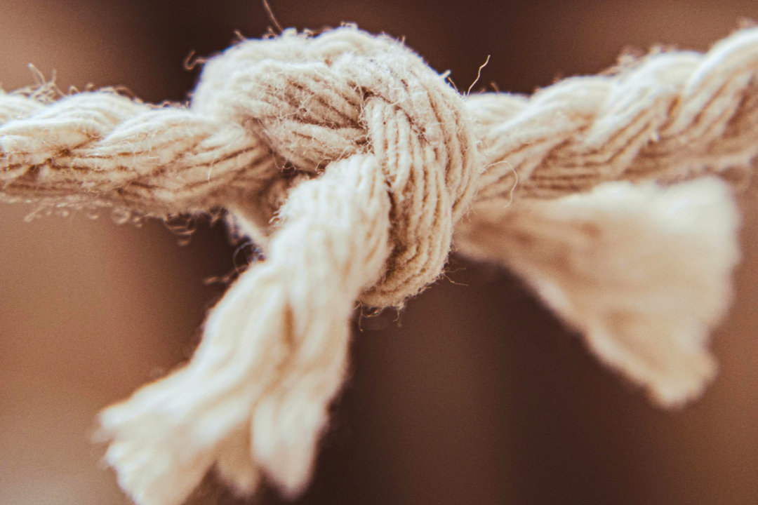 Better together: Three data-backed reasons why clustered startups perform better