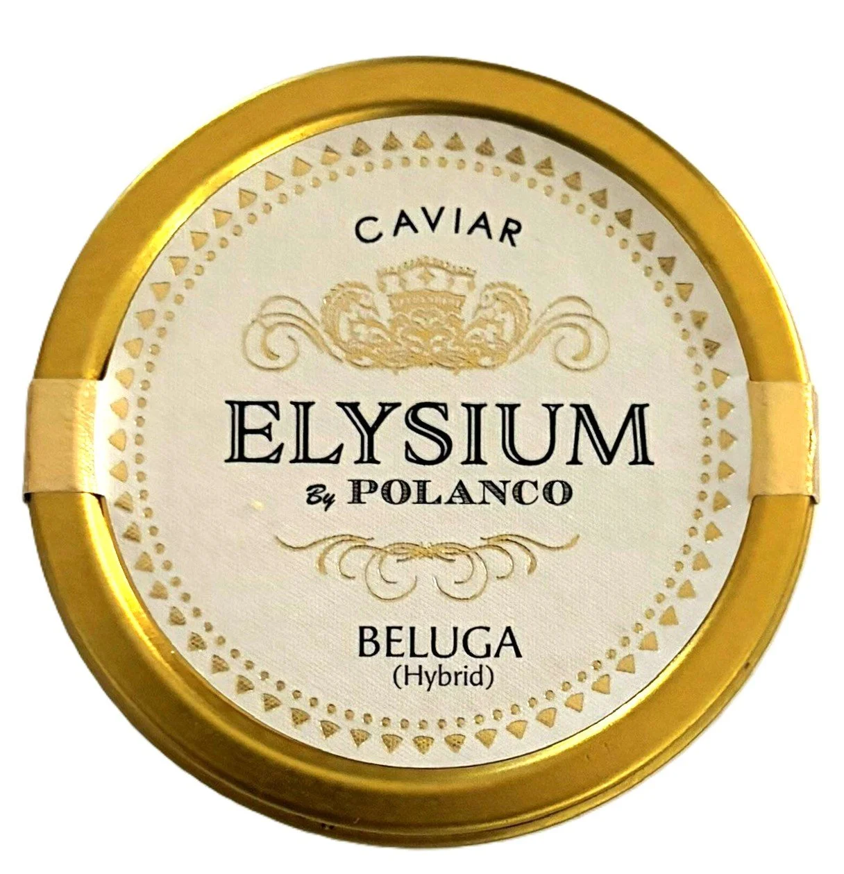 Beluga Hybrid 3.jpg