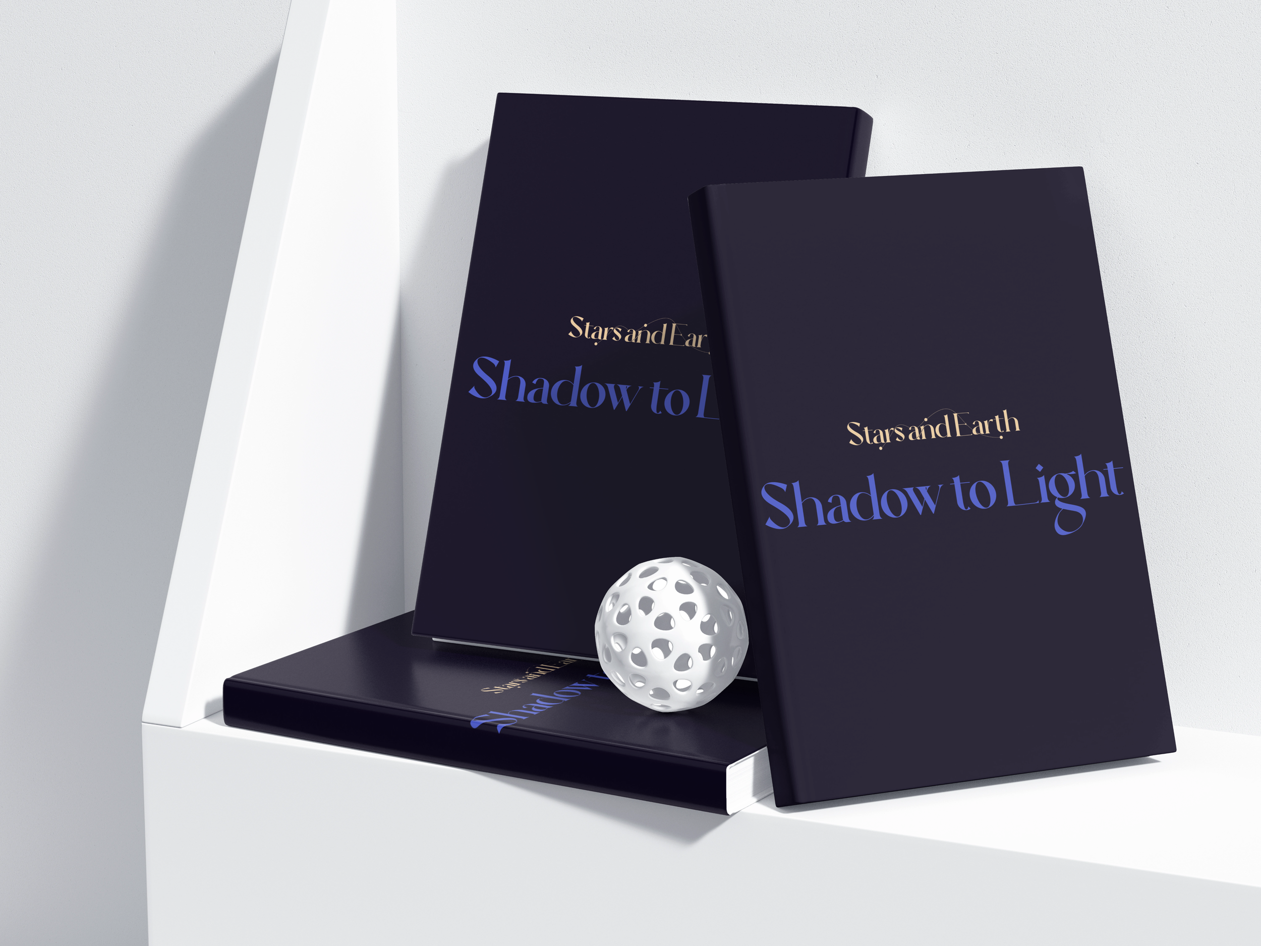 Shadow to Light (Digital Journal)