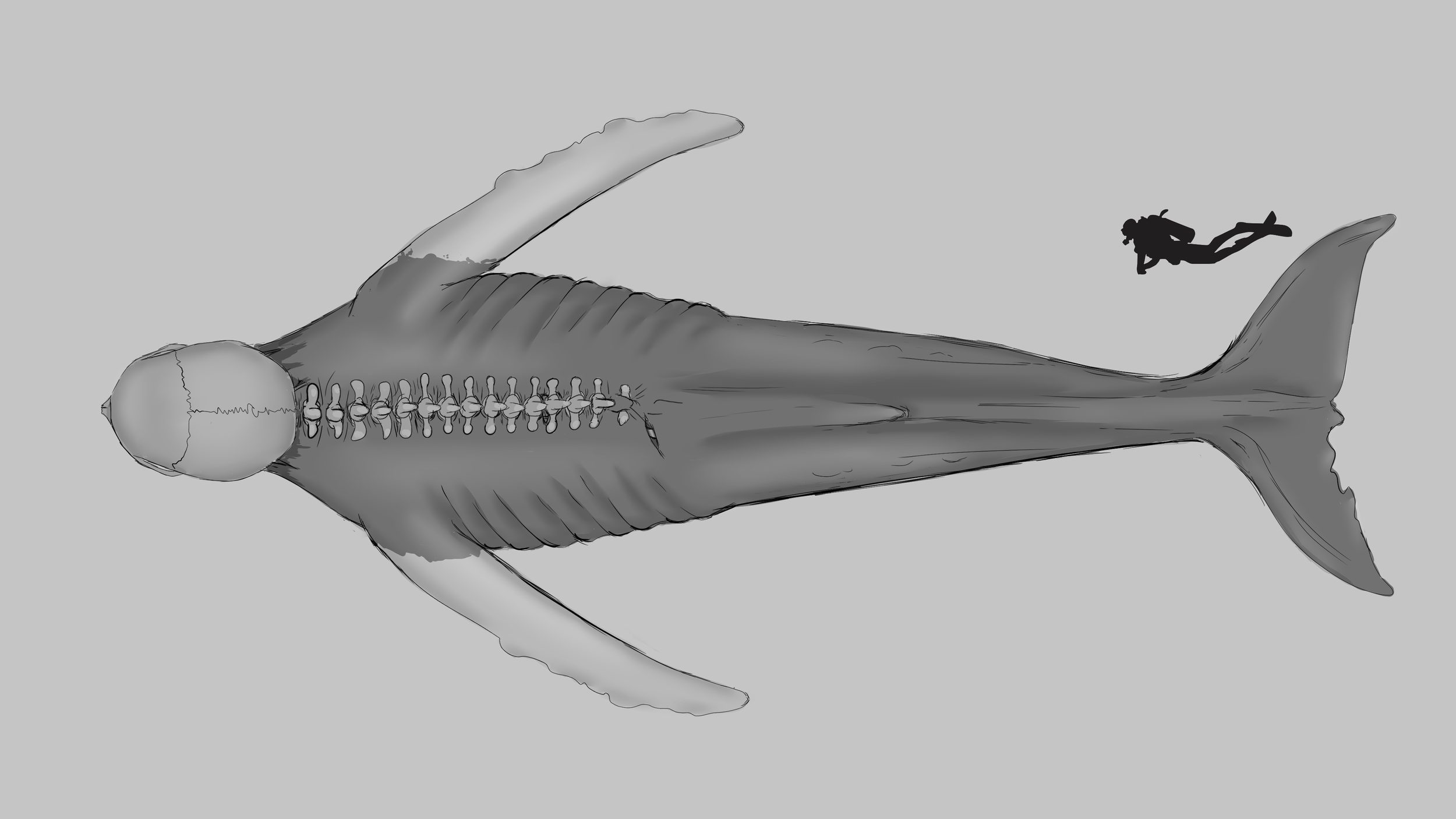 Turnarounds starting with top down - for processing by 3D