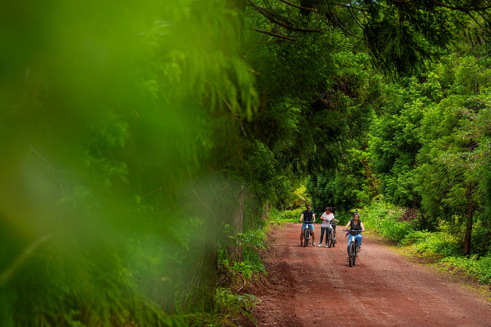 Quatro pessoas andam de bicicleta por uma trilha na floresta, cercada por árvores verdes e densas.