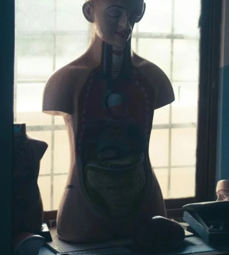 The Gut-Skin Connection — Why Your Breakouts Might Start in Your Digestive System