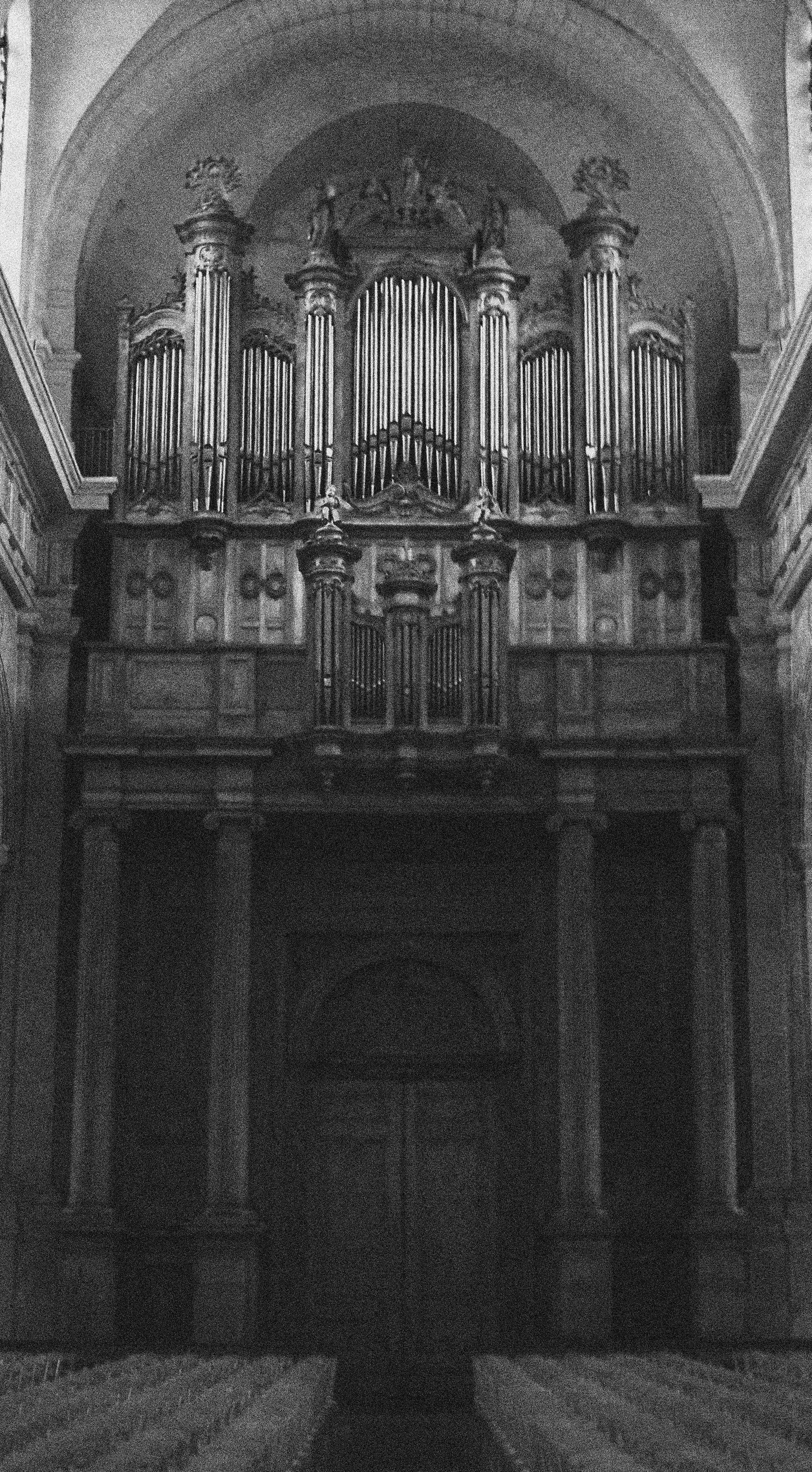 La Rochelle Collection (26).jpg