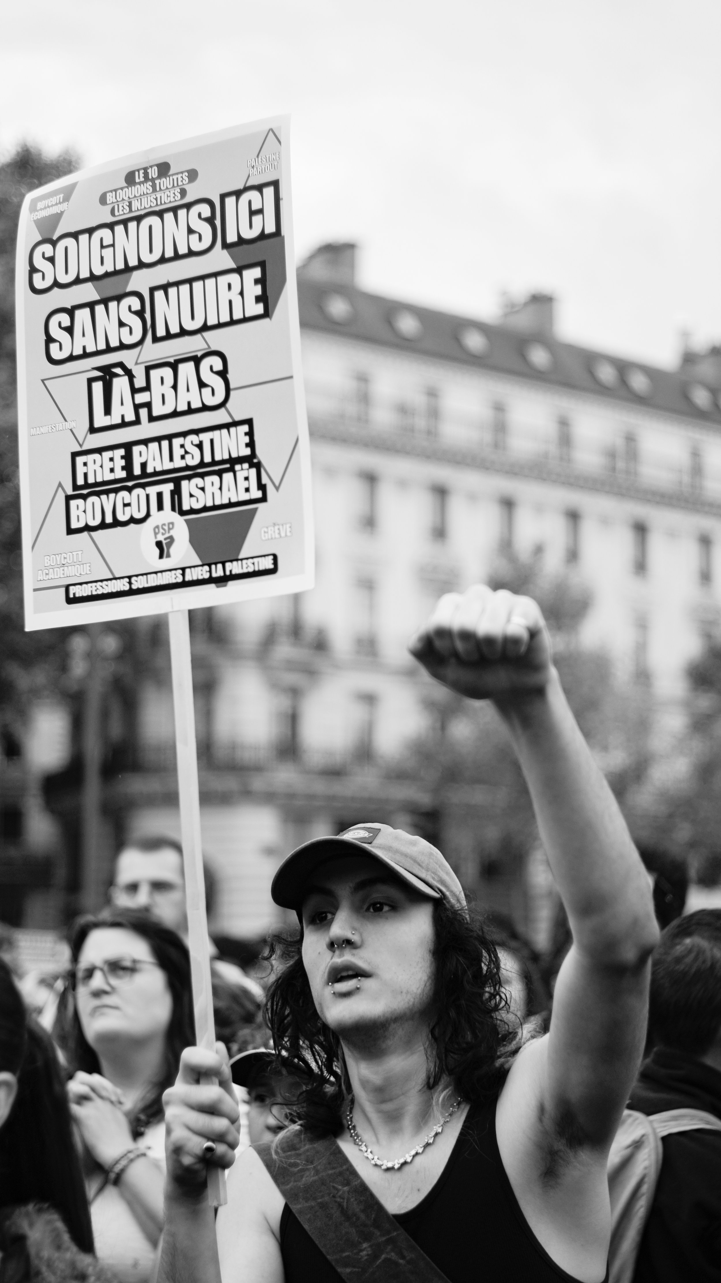 Collection pour Pelestain 2.jpg