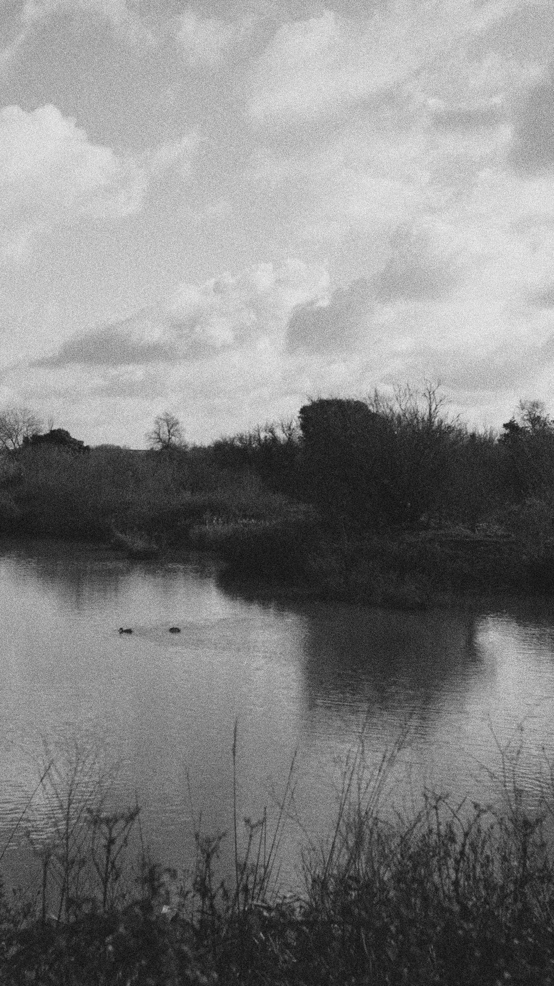 Day for Night on the Marsh.jpg