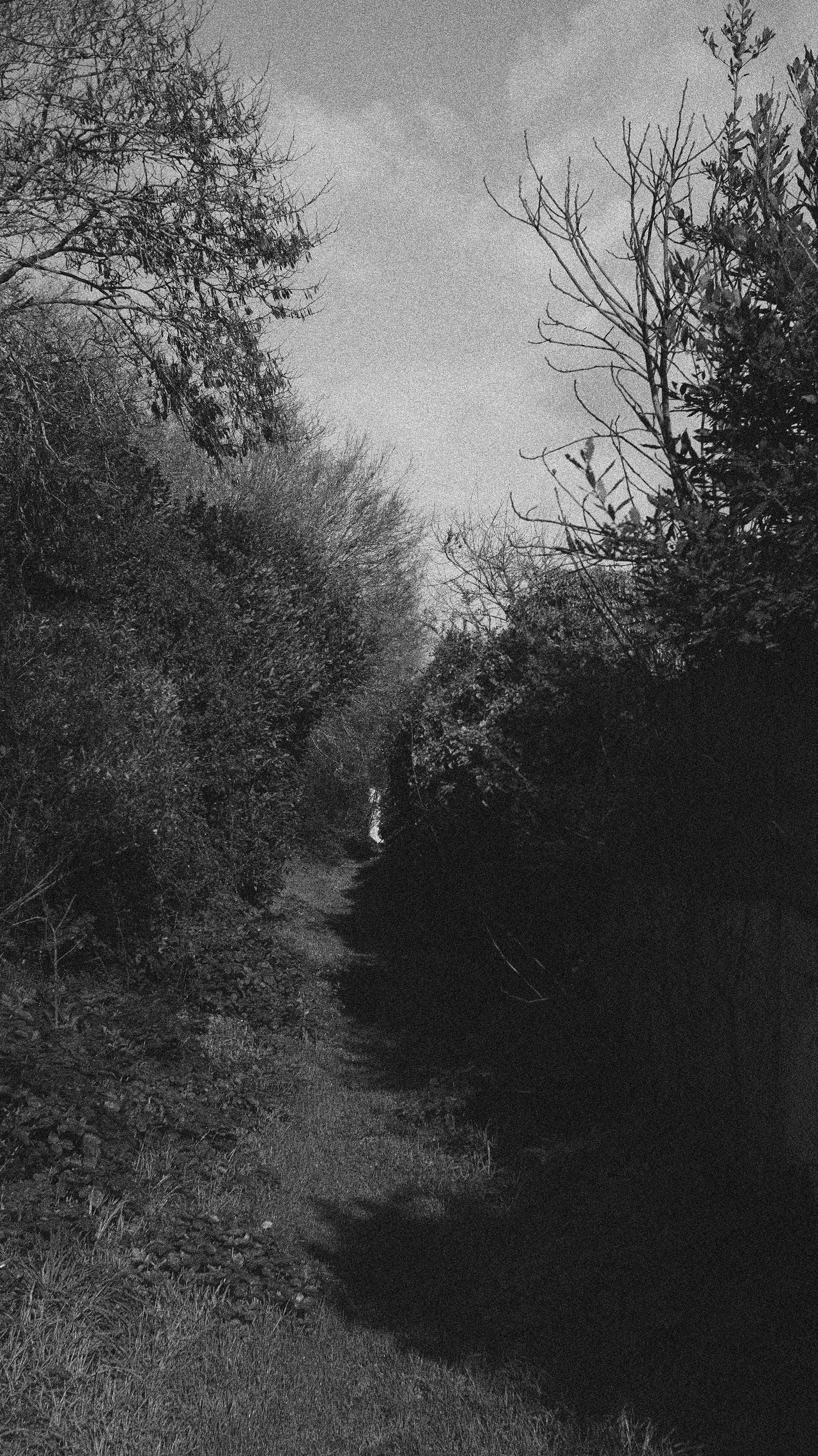 La Rochelle Collection (36).jpg