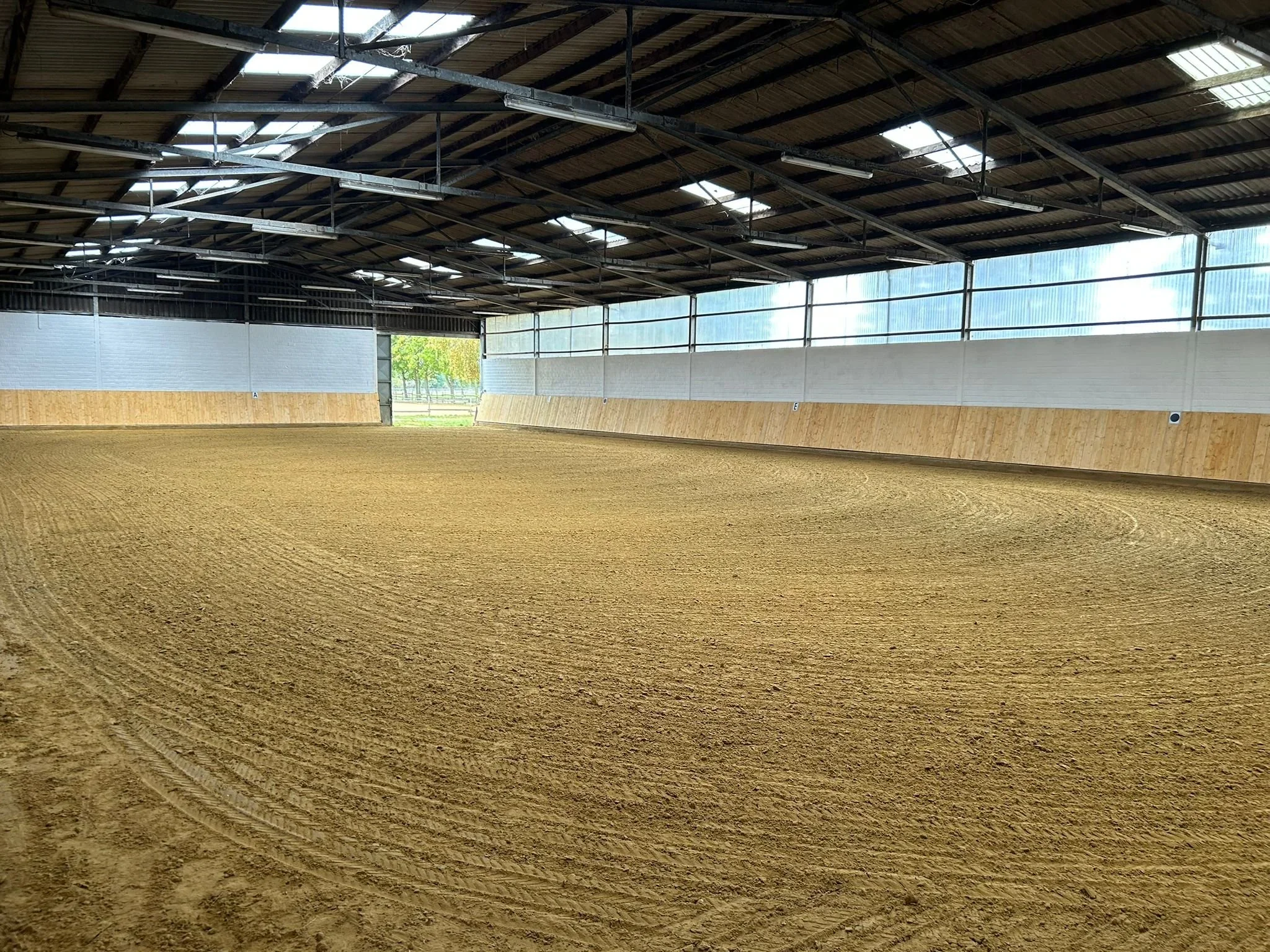Leeres Reitbahn mit Sandboden in einer Halle mit Holz- und Glaswänden.