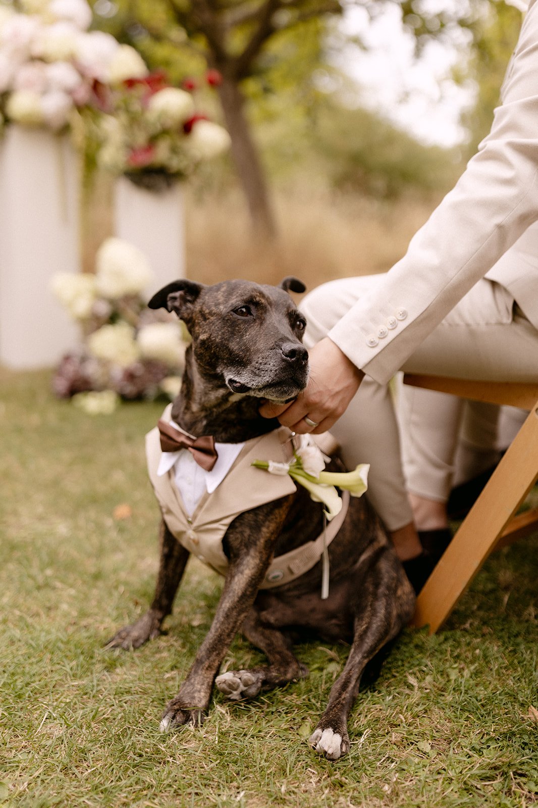 Kirsty & Ryan-21.jpg