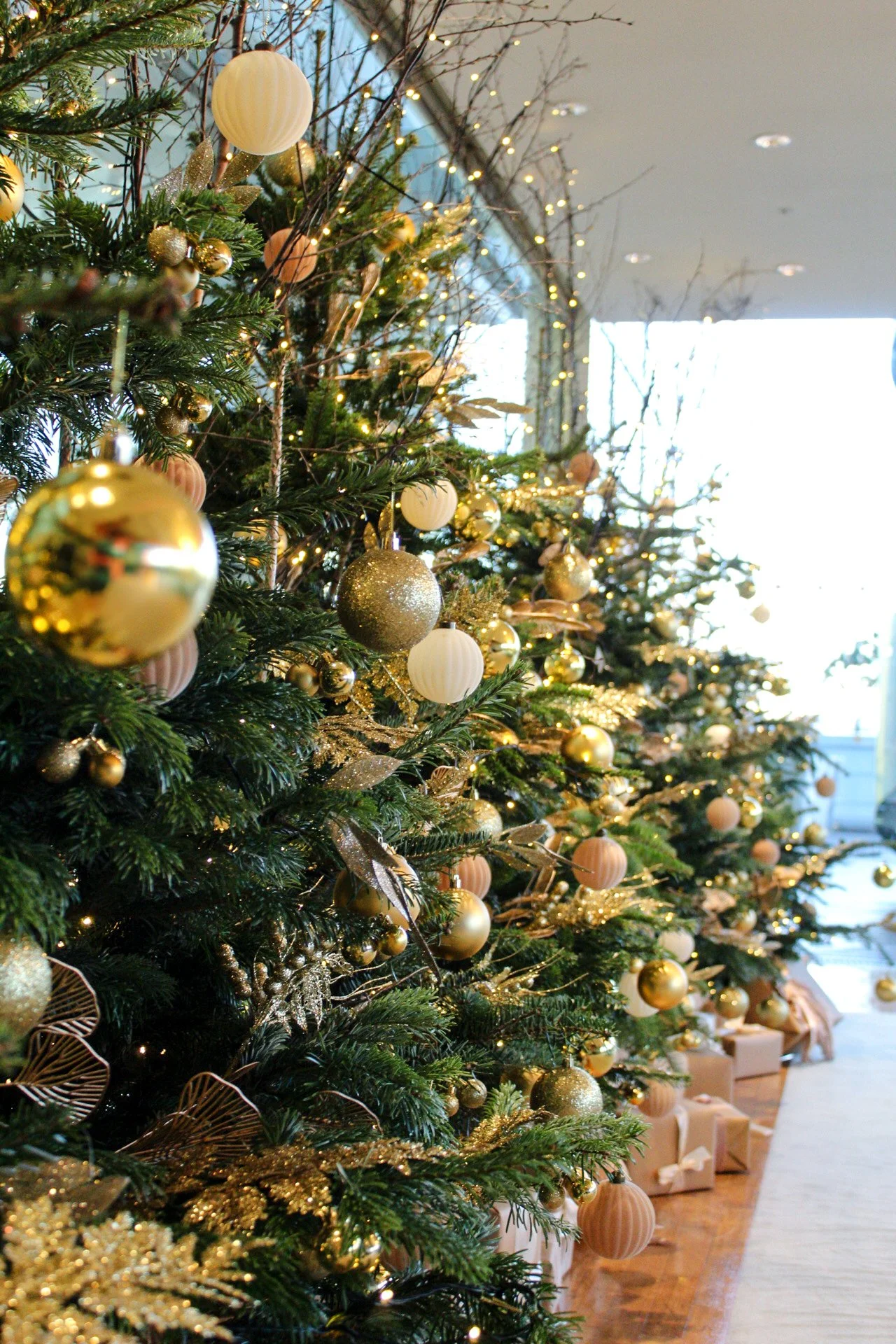 Multiple Christmas trees decorated with gold, silver, and white ornaments, ribbons, and string lights, with wrapped presents underneath, in a brightly lit room.