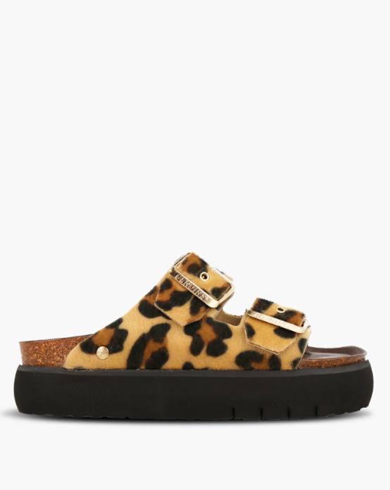 Schermata 2026-04-17 alle 18.05.33.png