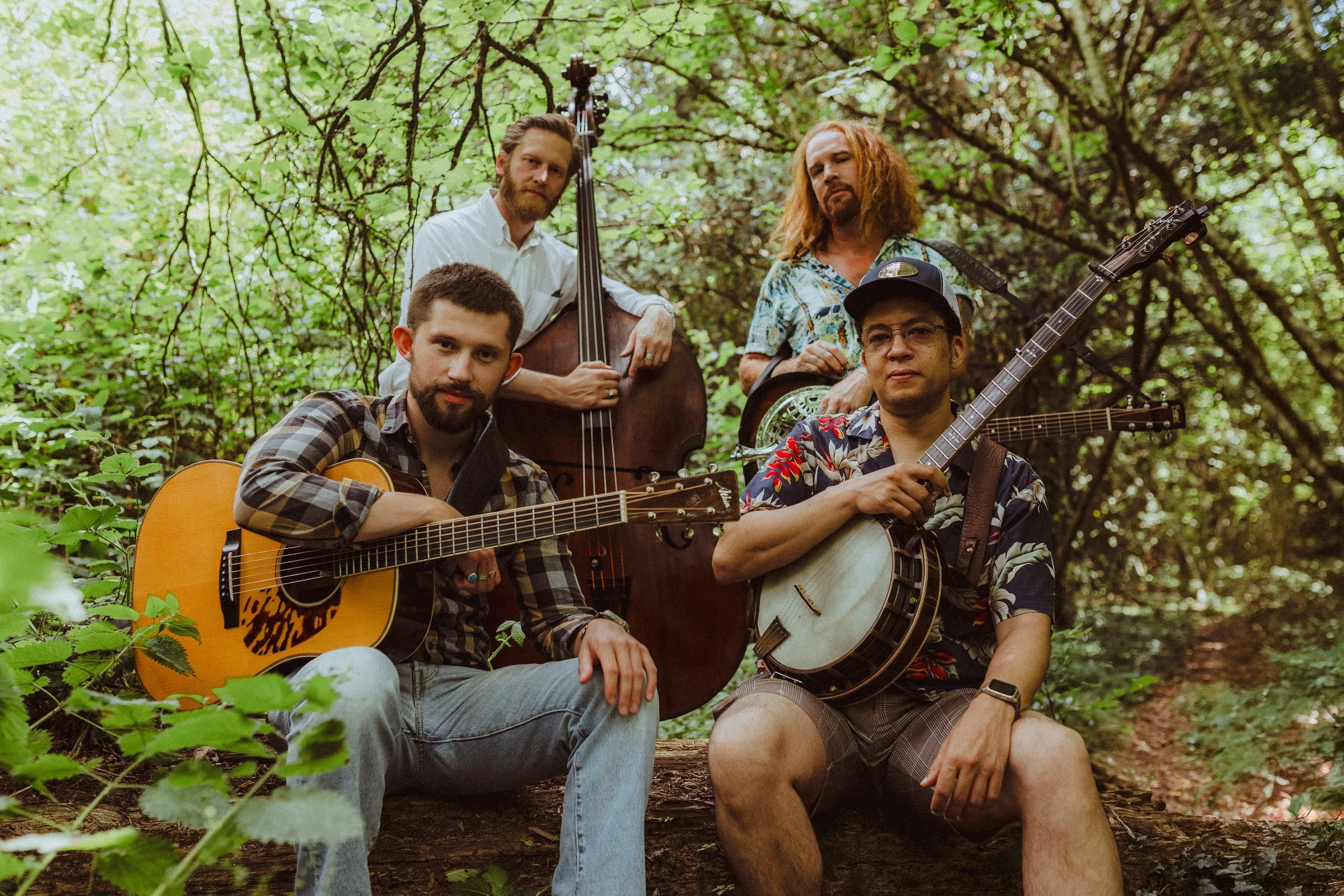 Paul Armer &amp; the Dawn Chorus