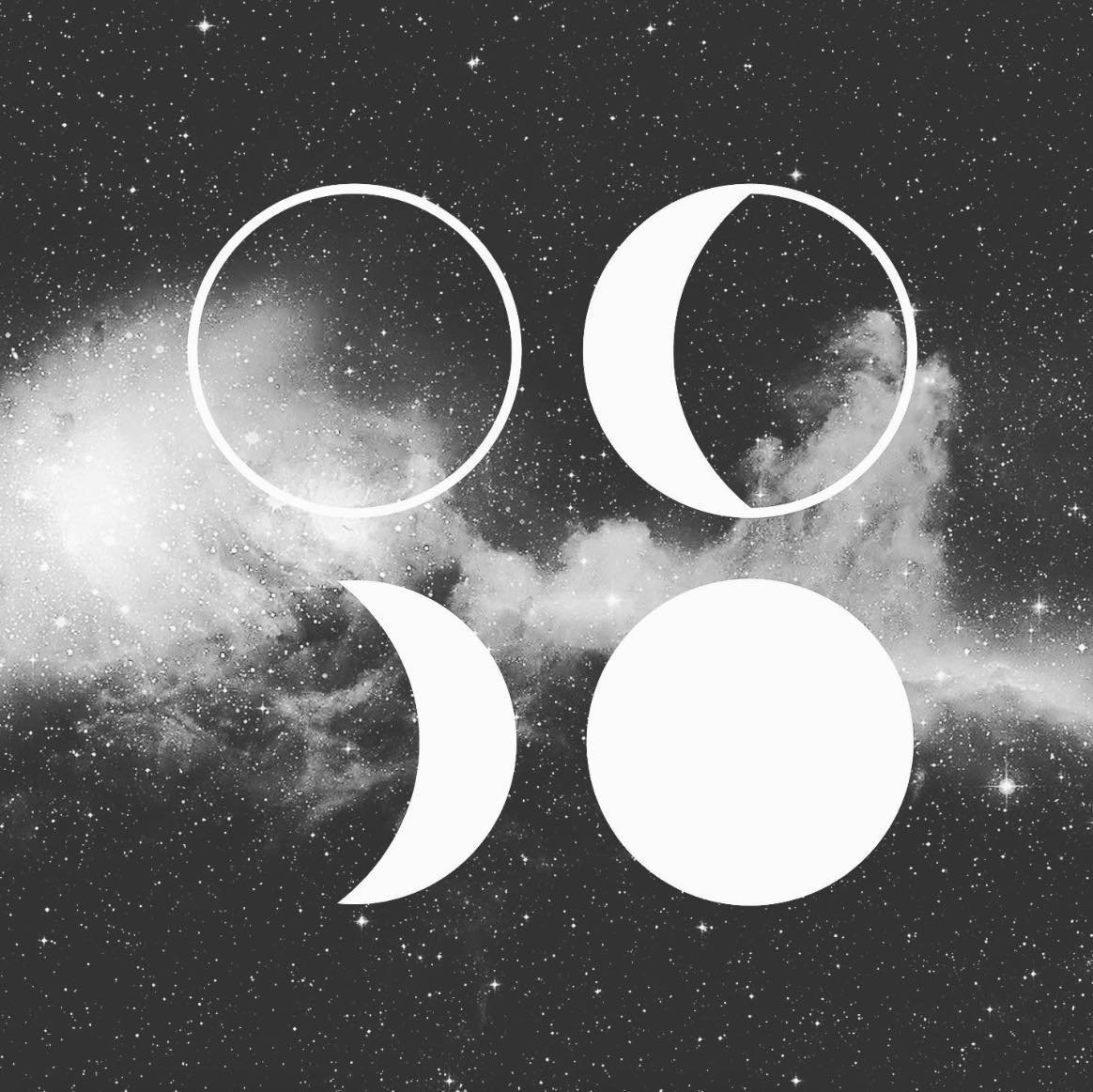 Moon Groove Collective