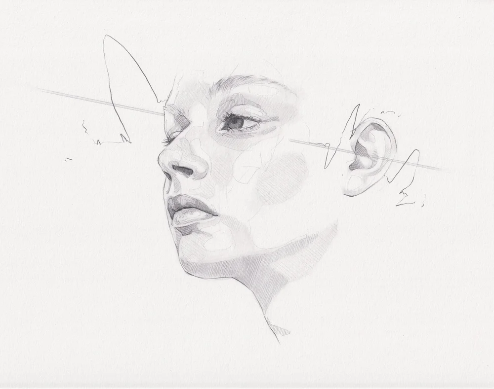 Framed Pencil Study F