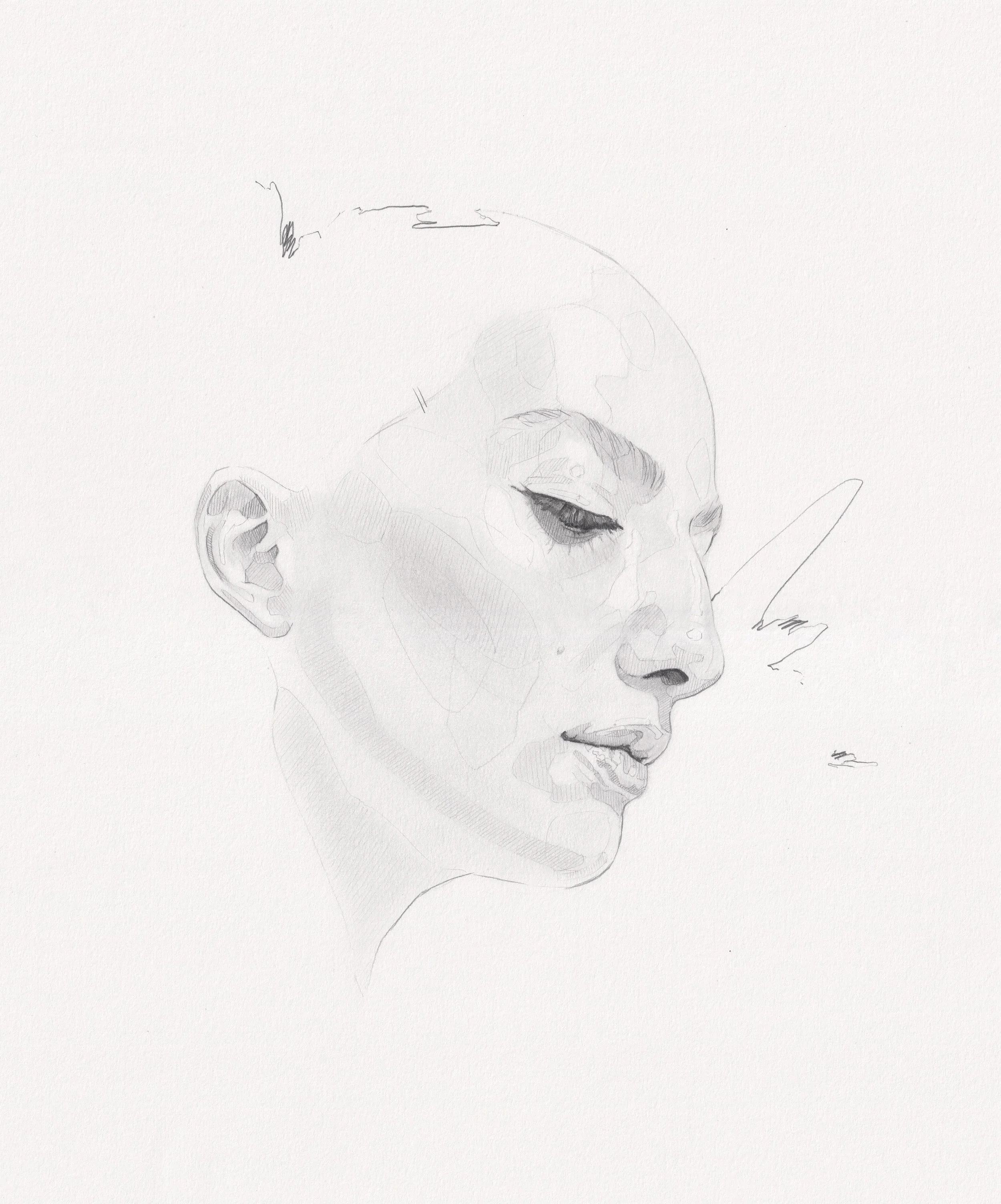 Framed Pencil Study H