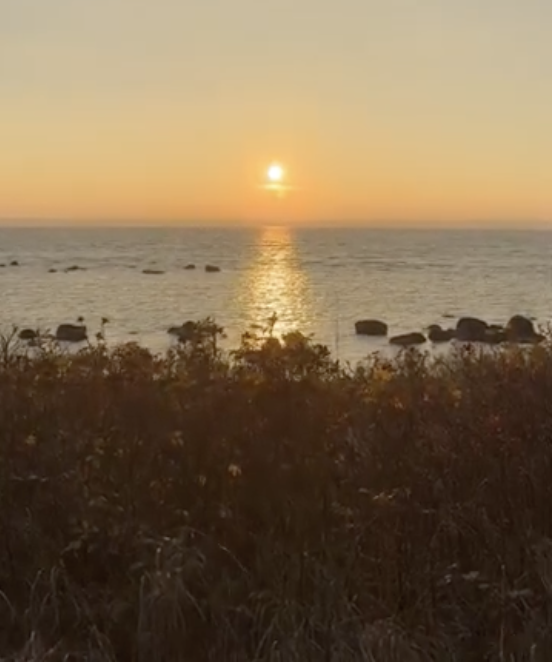 En guidad meditation i kärleksfull vänlighet