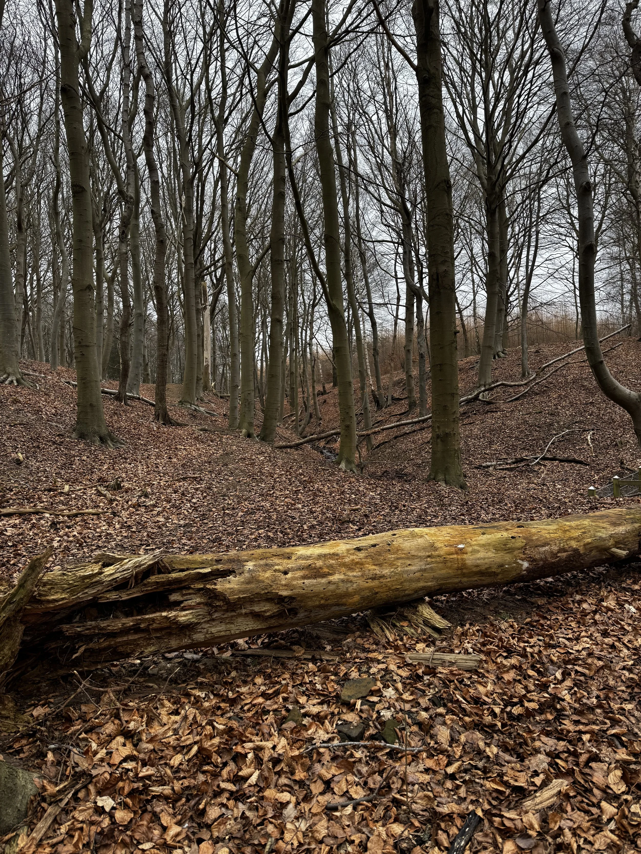 Vägledning&nbsp;vid&nbsp;svårigheter&nbsp;i meditation.