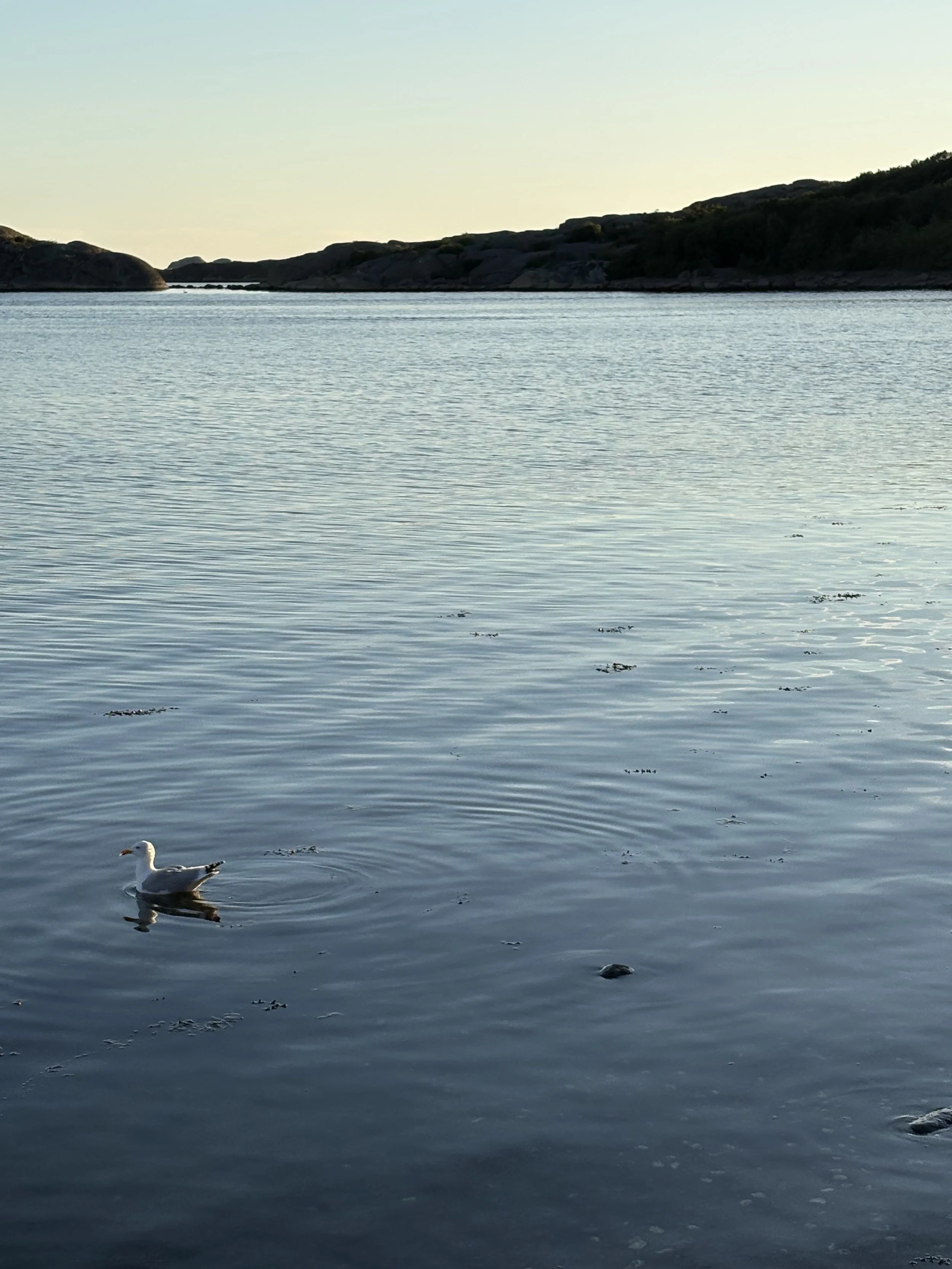 Nytt tillfälle att prova på meditation -  21 juli