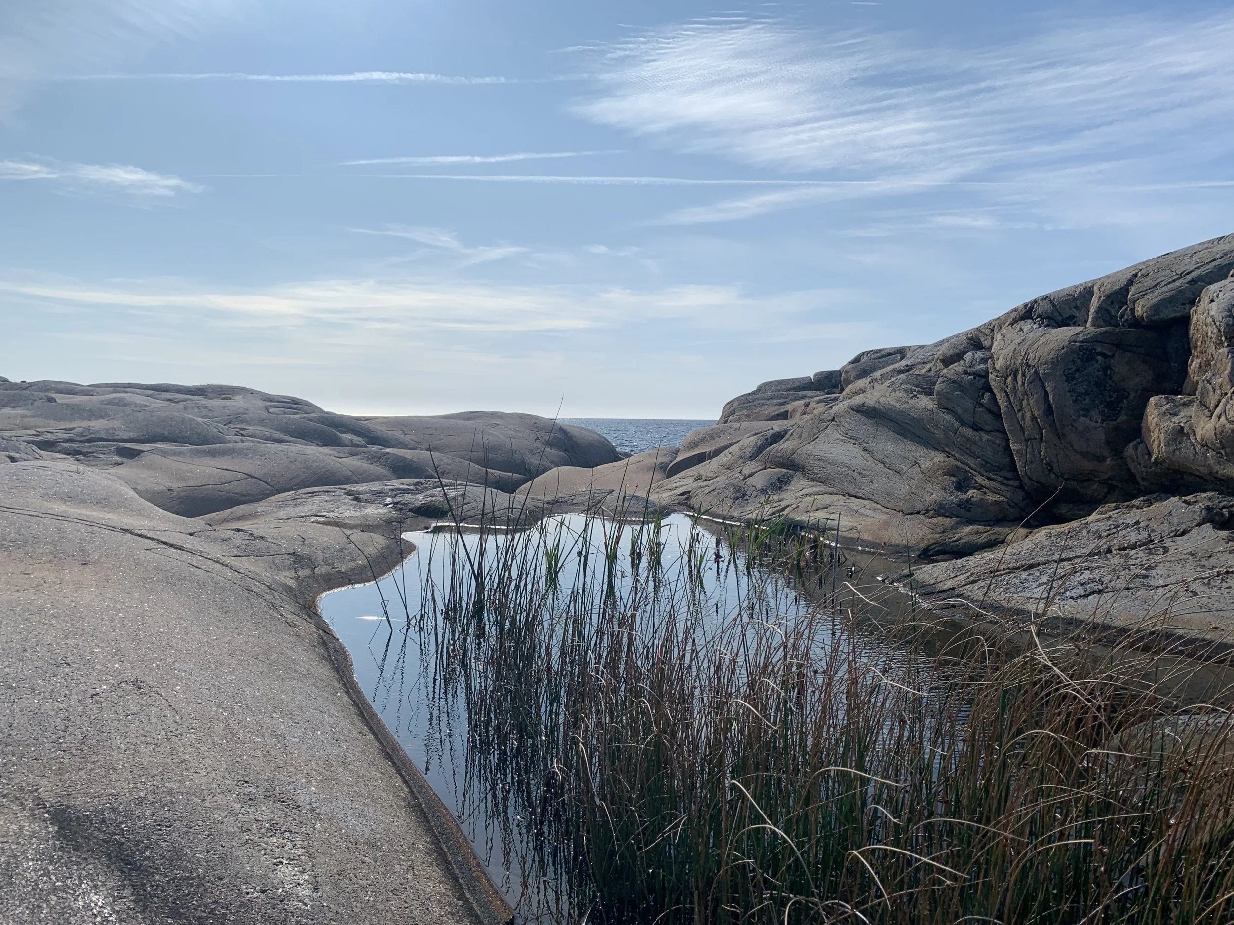Kustlandskap med stora bergiga stenar, en liten vattensamling med växter, och havet i bakgrunden mot en blå himmel.