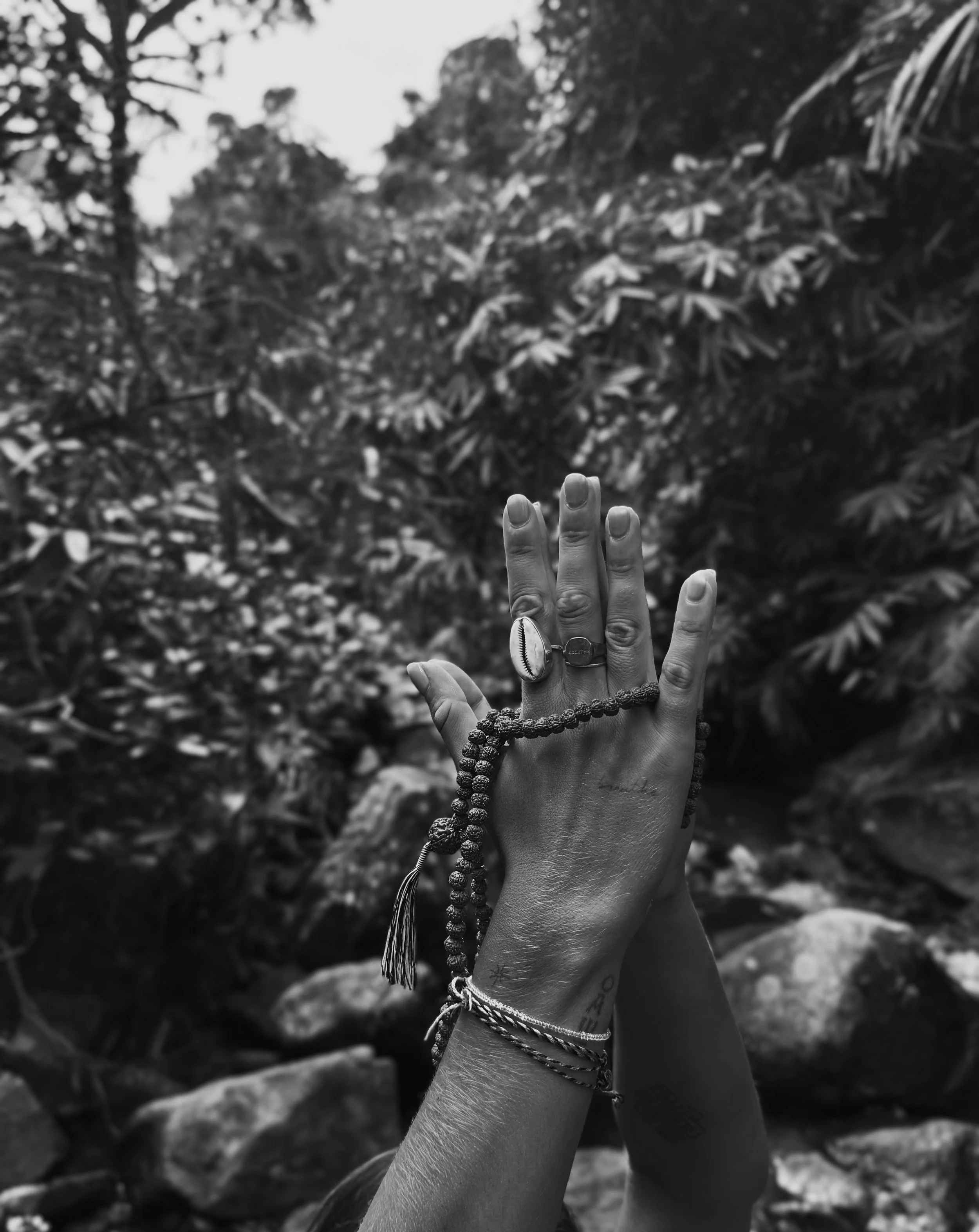 Manos levantadas con varias pulseras y anillos, sosteniendo un rosario en un entorno natural boscoso, en blanco y negro.