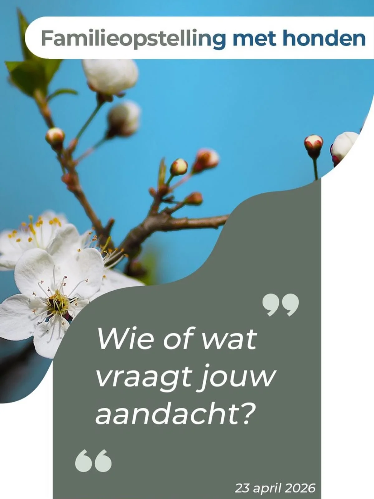 Premi&egrave;re Opstellingsochtend met Honden

Op donderdag 23 april organiseren wij een bijzondere ochtend bij Hof van Barlo in Groenekan.
Een eerste gezamenlijke editie van Michelle Barlo en Willemijn Roelofsen.

Tijdens deze ochtend werken we met 