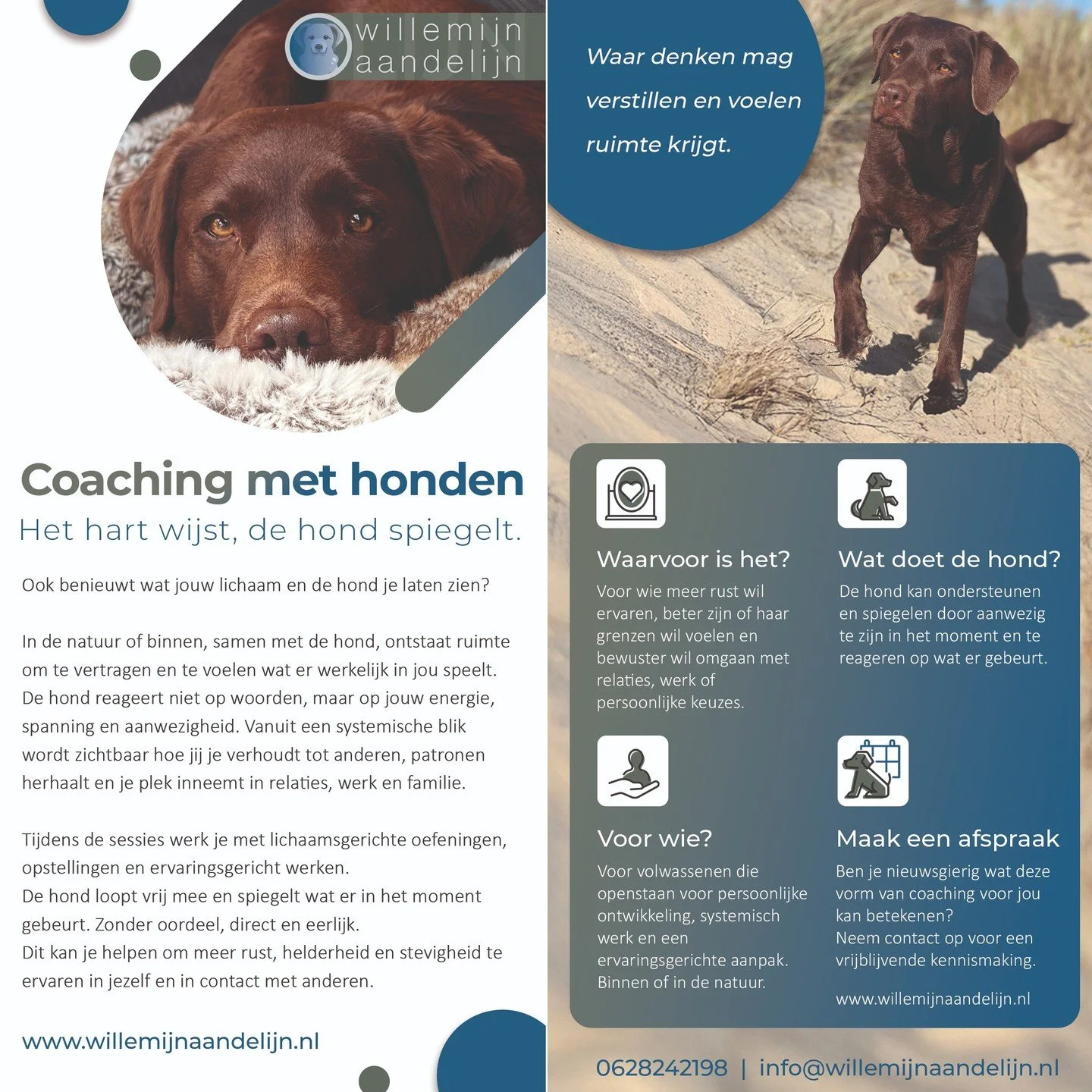 Coaching met honden
Het hart wijst, de hond spiegelt.

Binnen of in de natuur ontstaat ruimte om te vertragen en te voelen wat er speelt.De hond beweegt mee in het moment en kan, op zijn eigen manier, ondersteunen en spiegelen bij wat zich aandient.