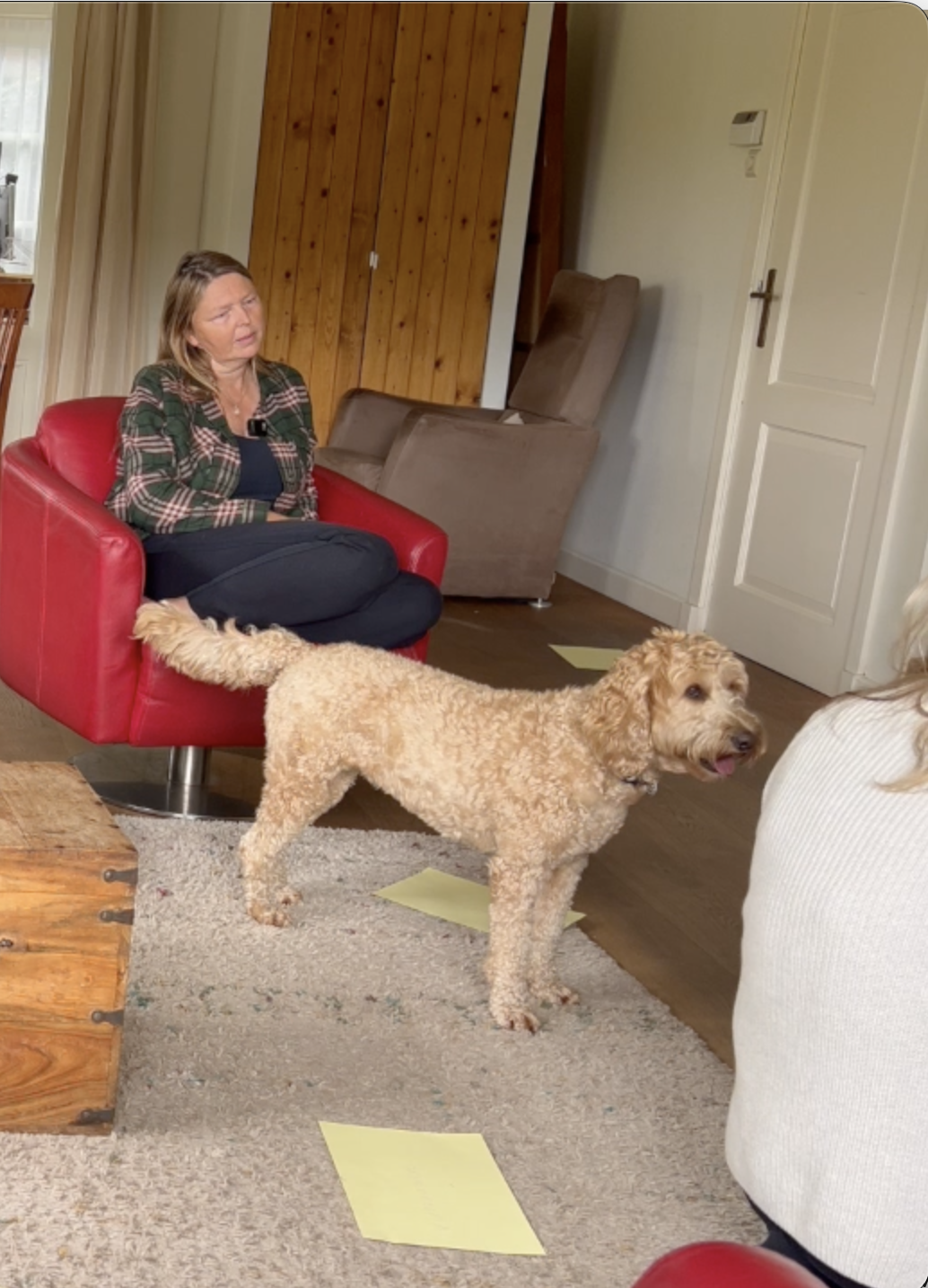 Coaching met honden | Groenekan
