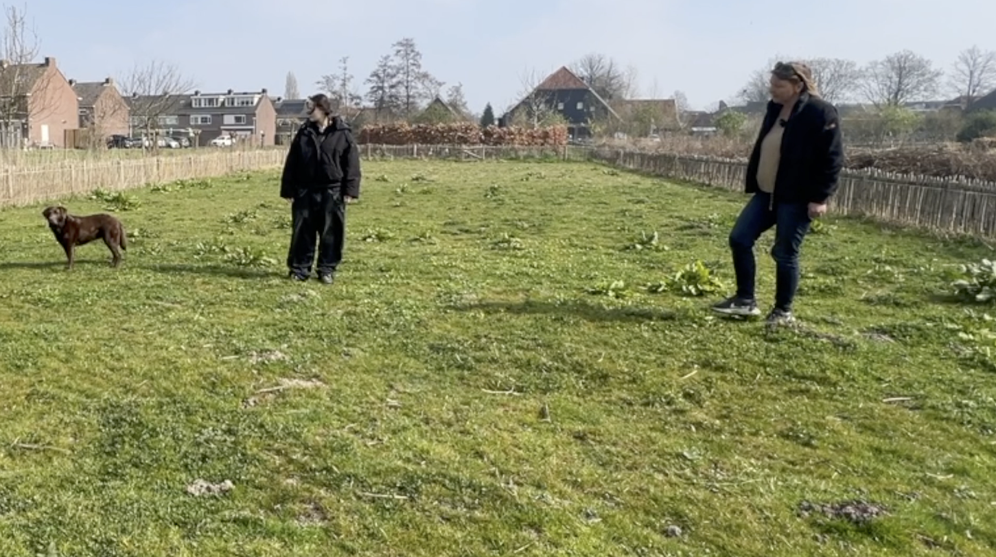 Coaching met honden| AAI omgeving Utrecht