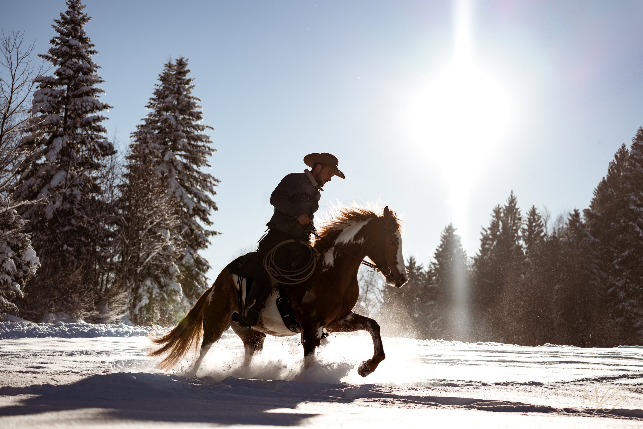 A man riding a horse through a snowy landscape with trees and a bright sun in the sky.